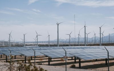 Across Multiple Industries